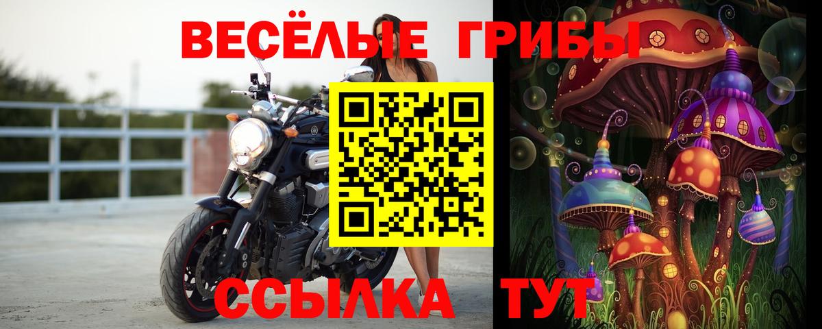 Галлюциногенные грибы Psilocybine cubensis  Псилоцибиновые грибы Magic Shrooms  Вход с VPN  Советский 