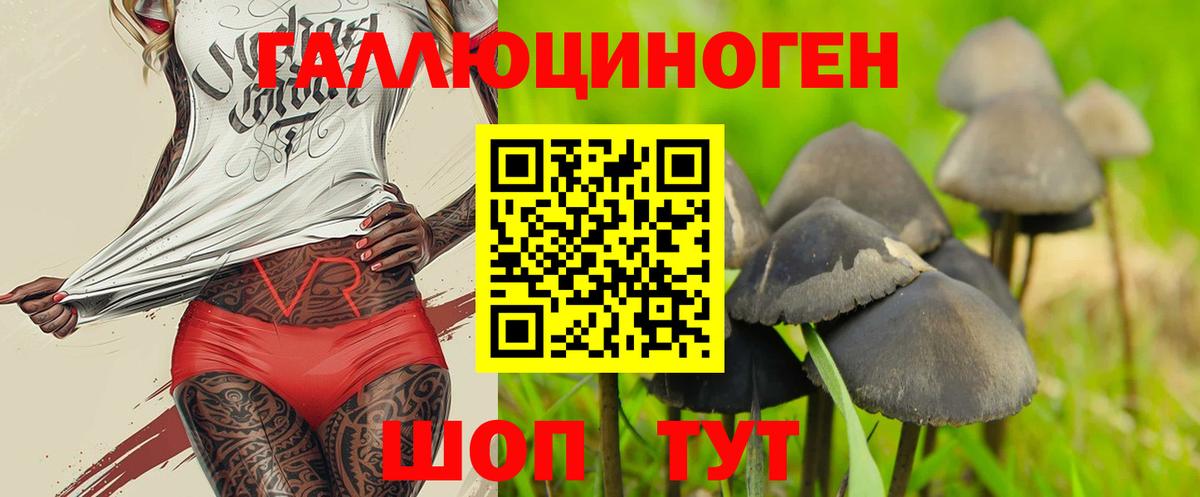 Псилоцибиновые грибы Cubensis  Советский 