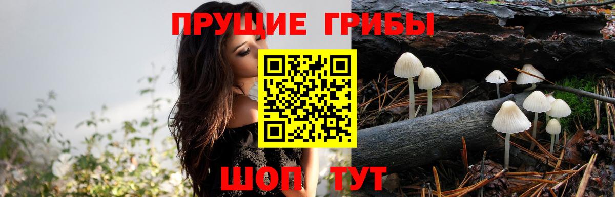 Гашиш  Конопля  Меф МЯУ МЯУ кристаллы  Советский  Меф МЯУ МЯУ кристаллы 