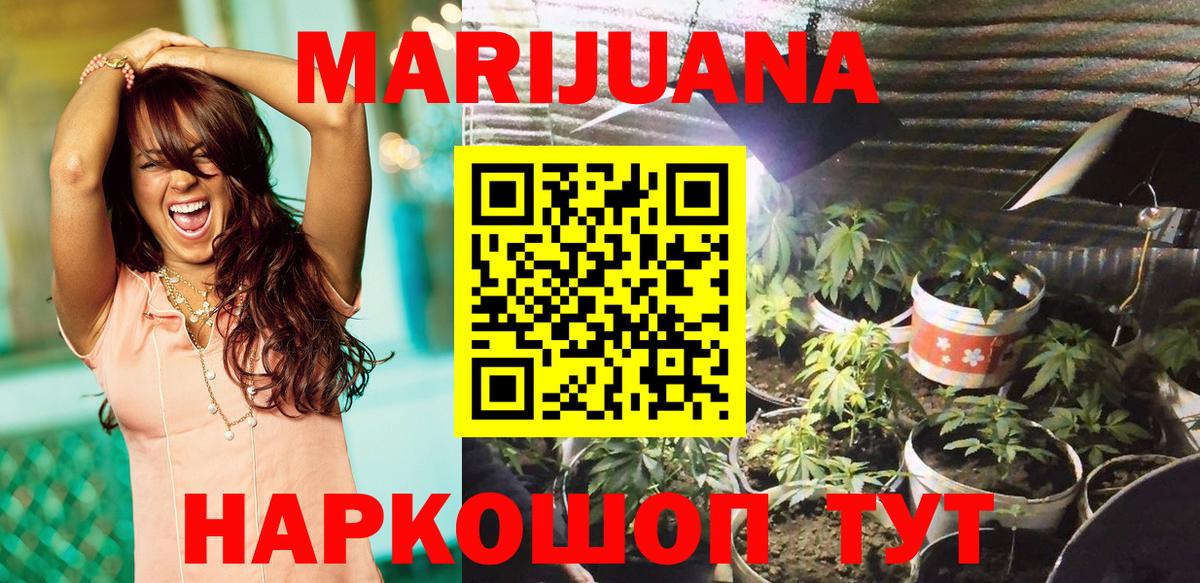 МАРИХУАНА ГИДРОПОН  Канабис гибрид  Советский  Вход с VPN 